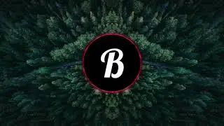 ZAD&Eacute;. - Rise w/ SYNC