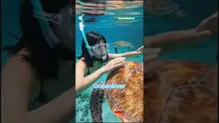 A Girl Fell in Love with a Sea Turtle 🐢💙 | Ocean Magic #OceanLover#SeaTurtle#TurtleLove#OceanVibe
