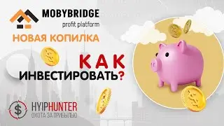 [СКАМ] MOBYBRIDGE - ОТЗЫВЫ И ОБЗОР // КОПИЛКА ОТ ОПЫТНОГО АДМИНА // МОЙ ВКЛАД $1000