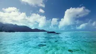 Guided relaxation, just a step forward #relaxation #clammusic #selfcare