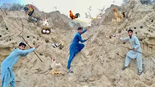 Aj Hum Nay Both Sari Gungli Murga Or Both Sary babay Trap kar Liya 🐓🦜