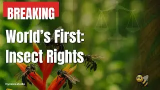 Amazon Bees Win Legal Rights: Insect Protection Goes Global