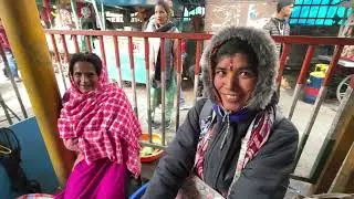 उत्रायणी मेले में आए श्रद्धालुओं ने ख़रीदें हज़ारों रुपए के पहाडी नस्ल की खूबसूरत कुत्ते 🐶😱 #viral