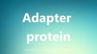 Adapter protein - Medical Meaning