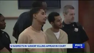 Watch: 12 suspects in `Junior` killing appear in court