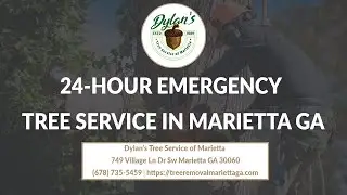 24 Hour Emergency Tree Service   Dylan's Tree Service of Marieta