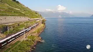 День железнодорожника  Видеопоздравление