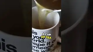 Best Bone Broth To Buy And Make In Seconds | LiveLeanTV