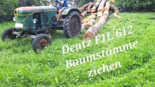 Deutz F1L 612 Oldtimer Bauernschlepper Holz r&uuml;cken Baumst&auml;mme ziehen ohne Hydraulik 11er Deutz Sound