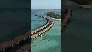 Finger snap travel to the Maldives!