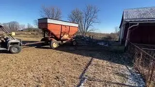 Winter/ Lambing Preparation