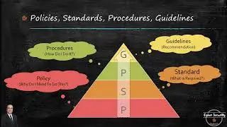 07 - Policy Standard Procedure