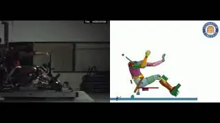 THOR FE modeling