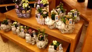 Заальфельд. Супермаркет Marktkauf. Цветочный отдел