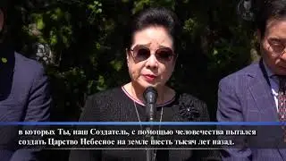 Выпуск новостей Peace TV от 25 июля 2020 года