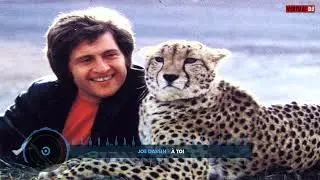 Joe Dassin-À toi (RAM75-techno remix)