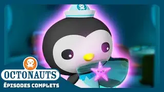 Octonauts - 🐚 L'&eacute;toile de mer &eacute;gar&eacute;e ⭐ | Saison 1 | &Eacute;pisodes complets | Dessins anim&eacute;s pour enfants