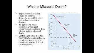 Microbial Control SP18 1