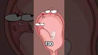 Why can't pregnant women drink alcohol?#animation #funny #shorts