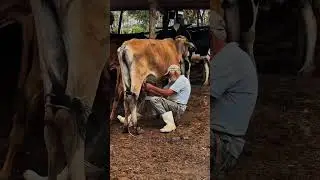 ONDE ESTIVER, AO OUVIR ESTA CAN&Ccedil;&Atilde;O LEMBRE DO NORDESTE🌵