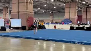 My floor routine (9.1)