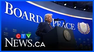 Donald Trump&rsquo;s peace and human rights