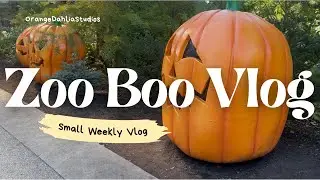 Zoo Boo Vlog | A Short Week in the Life Vlog