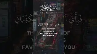 SURAH Ar Rahman VERSES 72 73