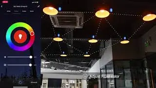 New Bluetooth Mesh Smart  Light Blub  Setup and Demo