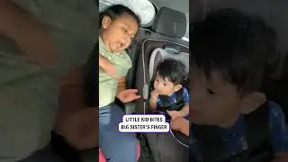 Charlie bit my finger 2.0 🤣