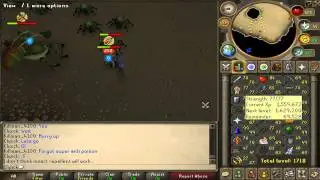 Runescape -   Dragon chainbody drop from  Kelphite Queen loot share