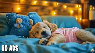 12 ЧАСОВ Музыка для Собак 🐶 Снимает Тревогу Разлуки & Поддерживает Глубокий Сон 💖 Без Рекламы
