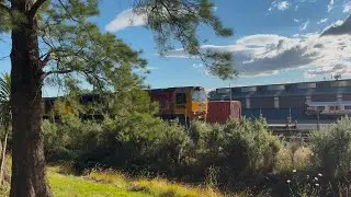 DL 9596 9763 ligh locos departing Te rapa yard Hamilton North Island Main Trunk