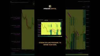 Spot Market Trends with Order Book Imbalances! 📉