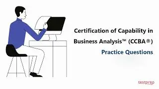 Certification of Capability in Business Analysis&trade; CCBA&reg;: Practice Questions