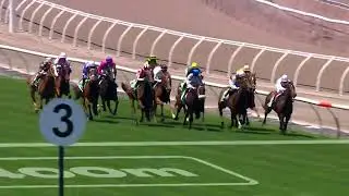 The Vanity 2025 - SHEZA ALIBI (3YO SWP G3 F) Group 3 Flemington 1 November