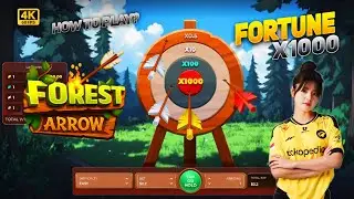 How To Play Forest Arrow Gameplay 20,000$ Win Real Twist | Casino Fun Gameplay