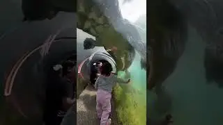 Places on earth don't feel real #shorts #amazing #places #trending #uniqueplaces #trendingshorts