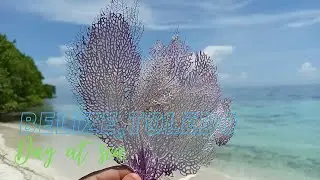 Adventures in Belize, Toledo