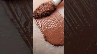 #LiquidLipstick #LongLastingLipstick #TransferProofLipstick #LipstickDupe #MakeupShorts