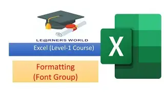 Formatting (Font Group) in excel