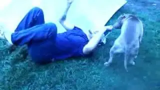 The wine Jump