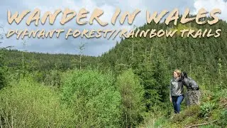 Wander in Wales // Dyfnant Forest - Rainbow Trails // EP5