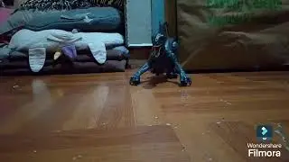 A Remote-Controlled Velociraptor I got as a gift for Christmas