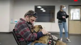 Paws and Stripes Programs