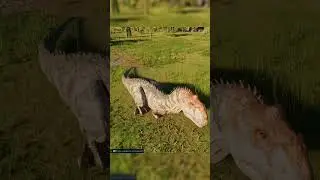 &iexcl;Ya lleg&oacute; el Majungasaurus a JWE3! #jurassicworldevolution3 #majungasaurus #actualizaci&oacute;n