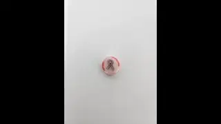 Breast Cancer Awareness Ribbon