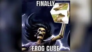 Finally Frog Cube