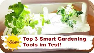 Der gro&szlig;e Indoor Garten Test: Kr&auml;uter anbauen f&uuml;r Gartenmuffel! | SAT.1 Fr&uuml;hst&uuml;cksfernsehen