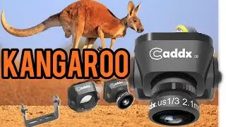 Caddx Kangaroo - 1000TVL FPV camera nano cam and comparison to Runcam Nano 2
